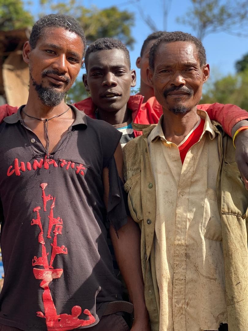 Ethiopian coffee landscape